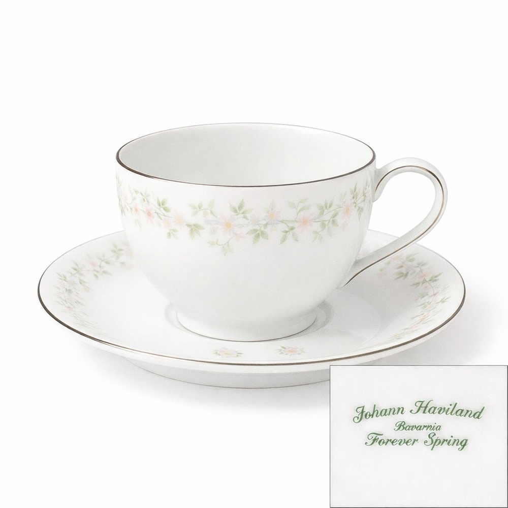 Johann Haviland Cup Saucer Set Replacement Bavaria Germany Forever Spring Floral